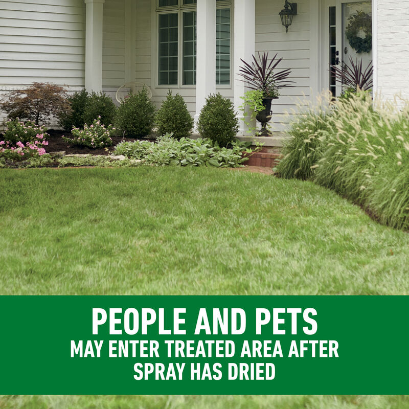 Roundup® For Lawns₁ image number null